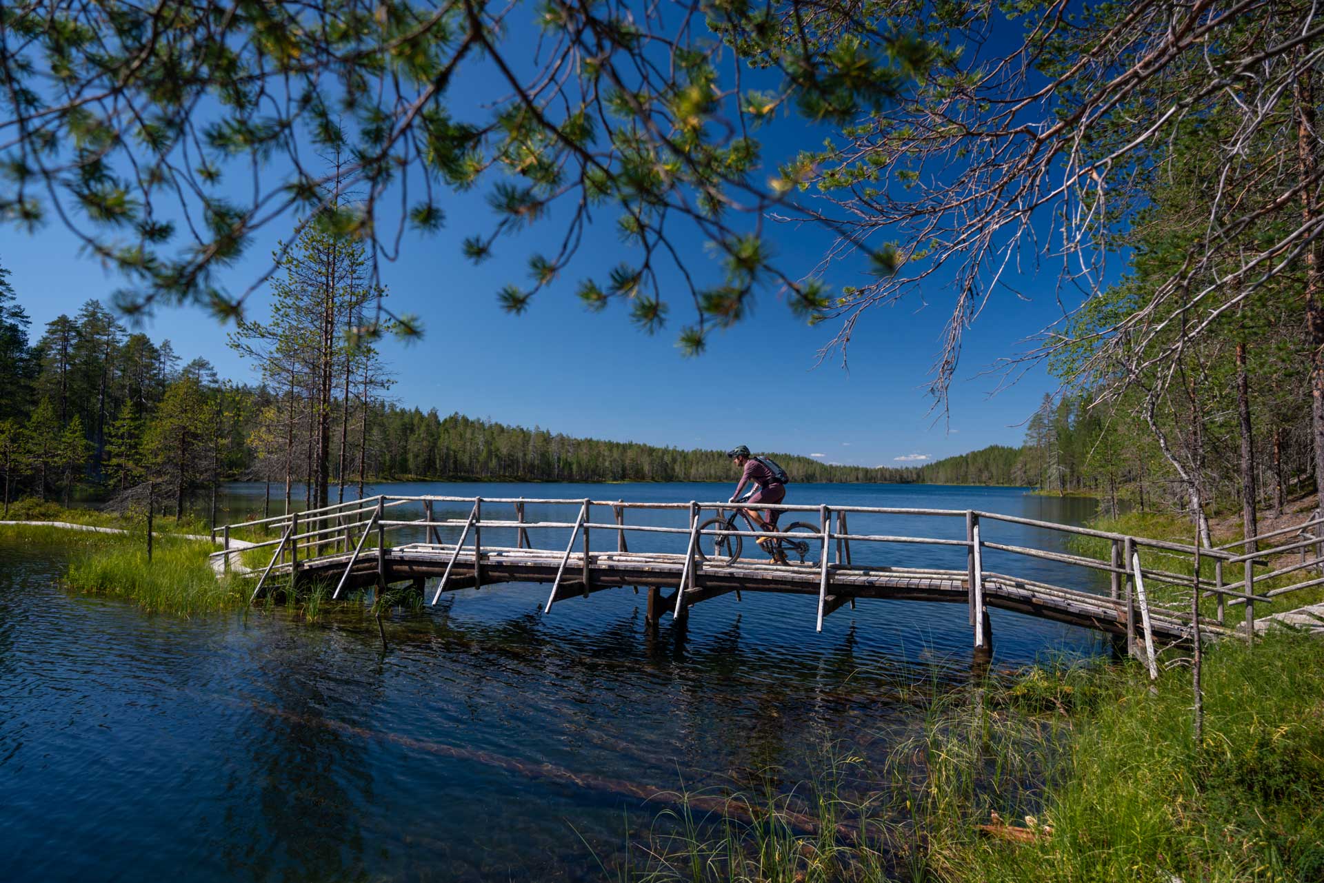 kesäkalastusta taivalkoskella