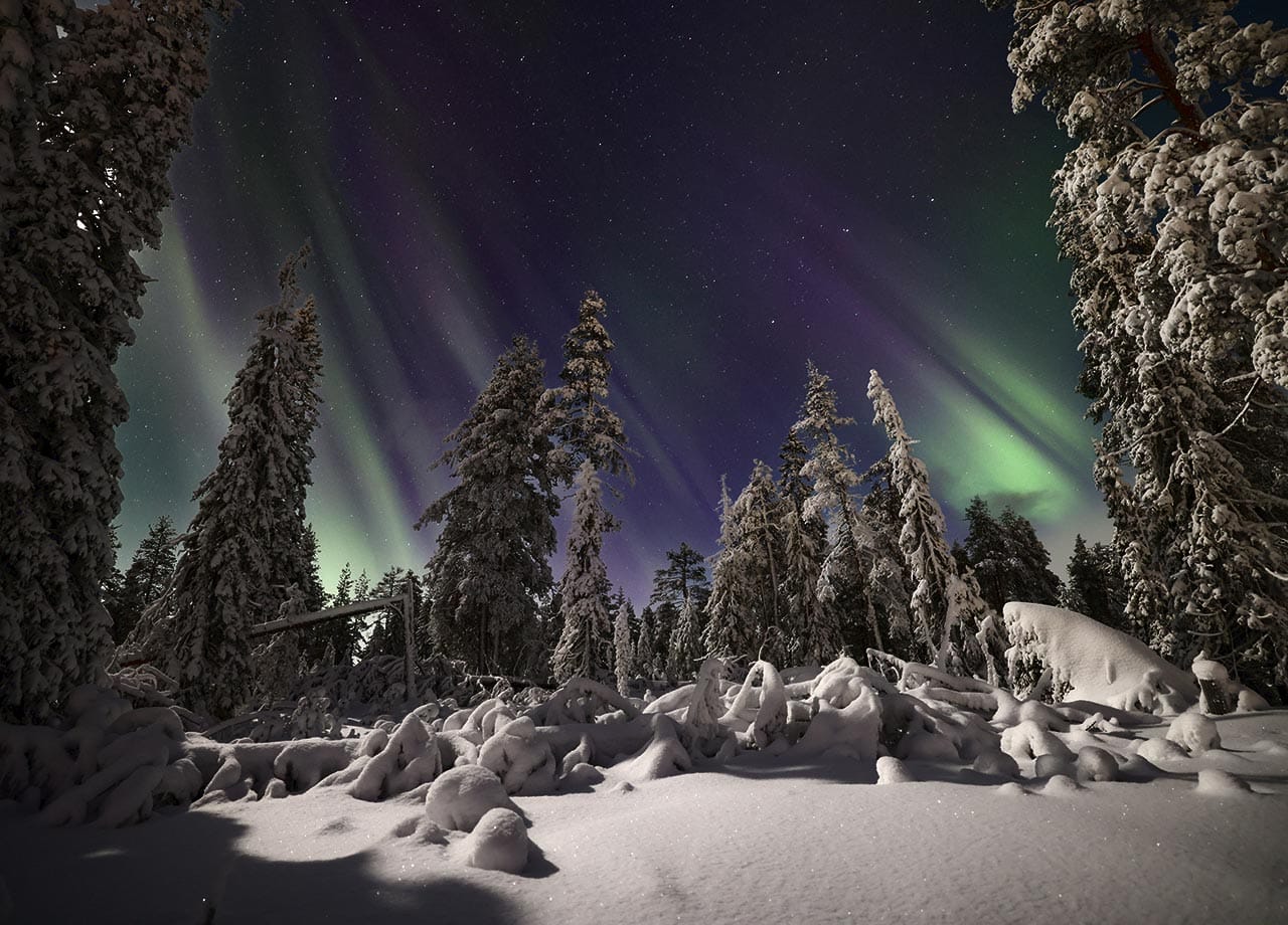 Revontulet lumisten tykkypuiden yllä Taivalkoskella